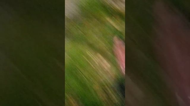 Наше посольство Весёлый вечер смотреть онлайн