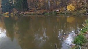 Форель и карп на верхнем. Клёвое место.