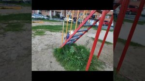 Настя гуляет с папой на детской площадке !!!