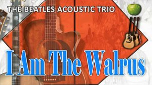 I Am The Walrus - The Beatles Acoustic Trio | The Beatles full album