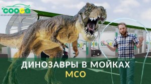 Динозавры в мойках самообслуживания