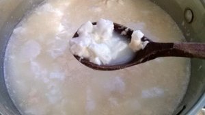 Домашний творог из молока