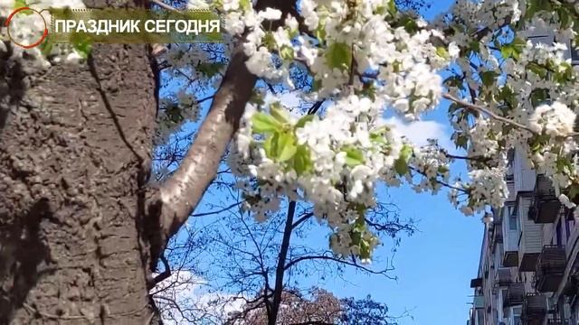 11 июня праздник. ФЕОДОСИЯ КОЛОСЯТНИЦА. Что нельзя делать. Народные традиции. Праздник сегодня!
