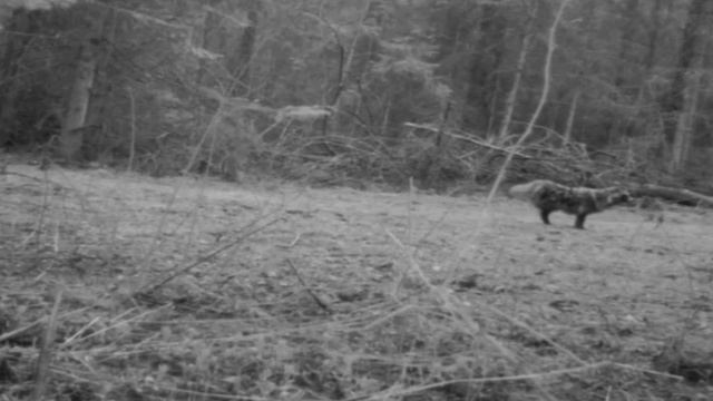 Пора идти в баню.... смотреть онлайн