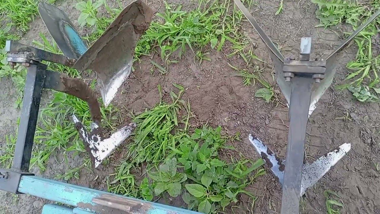 Окучивание картофеля.Культиваторная лапаокучник.