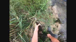 НАШЕЛ МНОГО РАКОВ. Ловля раков в оросительных каналах.