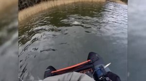 Ловля щуки осенью на спиннинг на реке Я вам покажу где сидит осенью щука