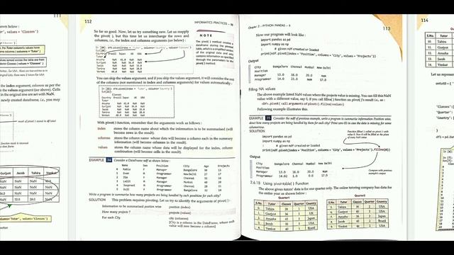 Class 12 Python Pandas  Information Practises In Hindi Chapter #2 || #5 By Sumita Arora