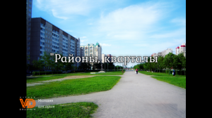 "Районы, кварталы" (группа "Звери"), гармонь. Виталий Дружинин