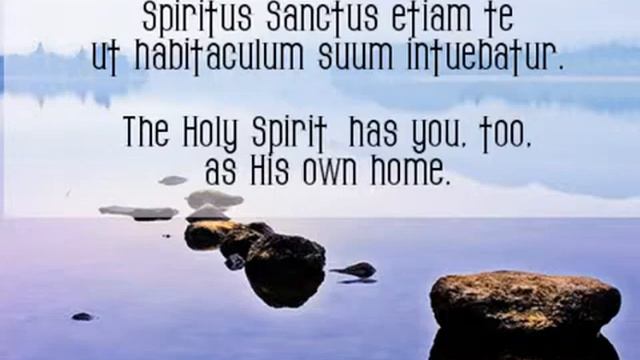 O Felix Anime - Music for Relaxation смотреть онлайн