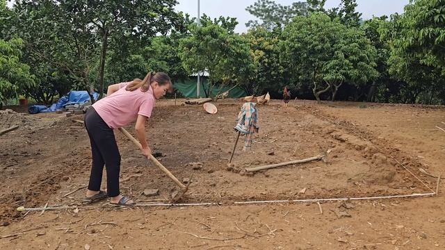 400 Chickens Grow So Fast.  Build A Larger Chicken Coop To Raise Chickens. ( Ep 216 ).