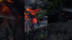 Ритуал. Зелье на удачу. Новолуние.