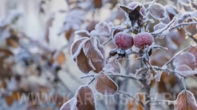 22 ноября - Матренин день смотреть онлайн