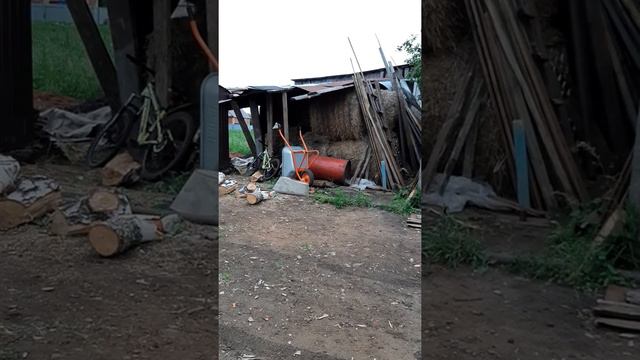 ФЕРМА. СКОТНЫЙ ДВОР. БЫКИ, КОРОВЫ. 🐂🐃🐄 смотреть онлайн