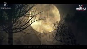 КАК НУЖНО СПАТЬ В ИСЛАМЕ