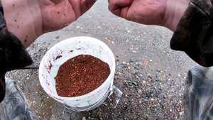 Рыбалка на Оби. Ловим крупного леща на фидер в конце августа...