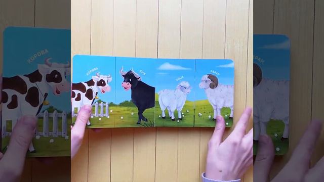 Книжки-задвижки «Домашние животные» | «Дикие животные» смотреть онлайн