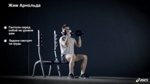 Как правильно делать жим Арнольда. Упражнение на плечи. Быстрый урок