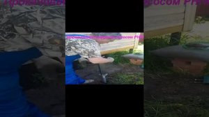 Бурение абиссинской скважины в Можайском районе испытание насоса РНПн