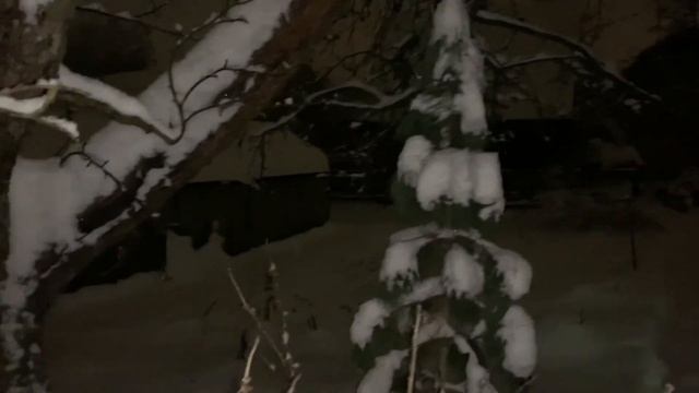 Прислушивались к звуку падающего снега? смотреть онлайн