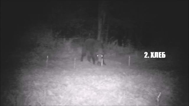 КАБАН НЕ ТАК ПРОСТ. Многие говорят - мы показываем. смотреть онлайн