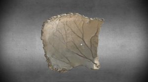 Анатомия с АВ. Лобная, теменная и затылочная кости.