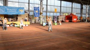 Одесское попурри