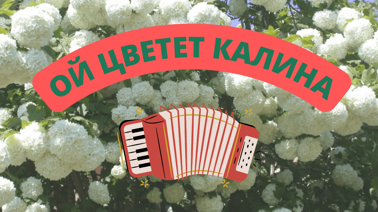 Цветы эх