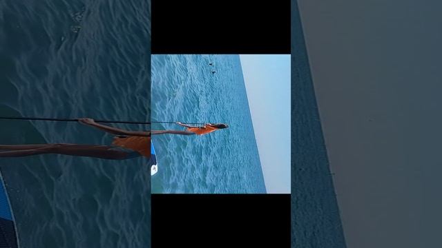 23.08.05 1