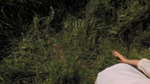 Корова поездой накрылась. Вам поезда