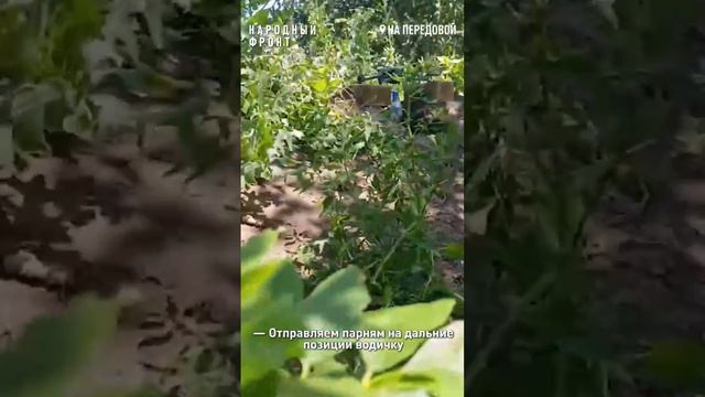Честное видео о том, как доставляется продовольствие парням на ЛБС.
