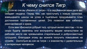 К чему снится Тигр – толкование сна по Соннику