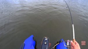 Ловля крупного окуня на отводной поводок/Эта снасть ловить 100%