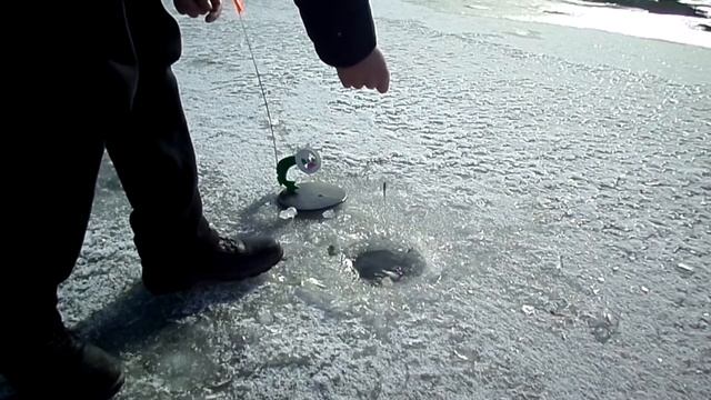 Февральская щука 2022