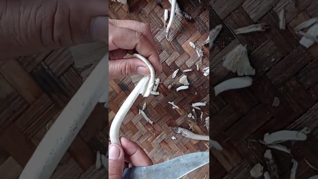 Cara Membersihkan Jamur Barat #short смотреть онлайн