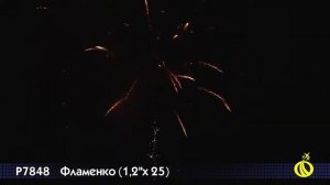 1,2x25 ФЛАМЕНКО