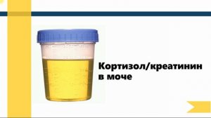 Диагностика синдрома Кушинга собак