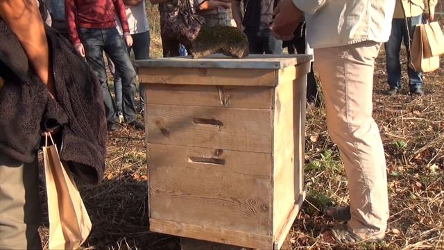 ?100 ГЕРМАН СТЕРЛИГОВ УРОК ПЧЕЛОВОД МЁД ПЧЕЛОВОДСТВО ВИДЕО РАМКИ НАТУРАЛЬНЫЕ ПРОДУКТЫ РОССИЯ ПЧЕЛЫ смотреть онлайн