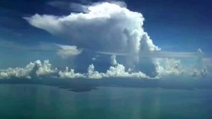 При рода  ( v 1.1 )