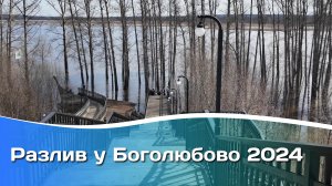 Разлив у Боголюбово 2024