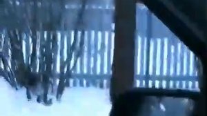 mega drozd in action дрозд pcp