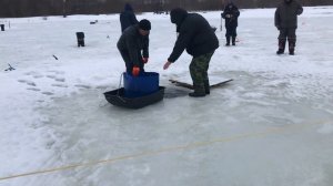 Зарыбление форели, форелевая рыбалка РК «Фишка» Петряиха