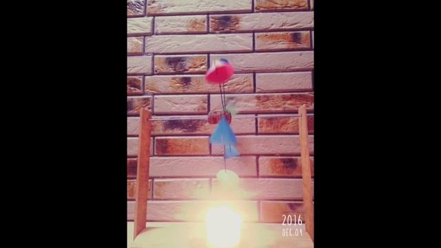 Опыты по физике. Тепловые явления смотреть онлайн