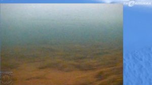 ЗАКЛЮЧИТЕЛЬНАЯ РЫБАЛКА НА ЛЕСНОЙ РЕЧКЕ #5 \ ЖИЗНЬ В ТАЙГЕ \ ХИТРАЯ ЩУКА \ ВИРТУАЛЬНАЯ РЕАЛЬНОСТЬ