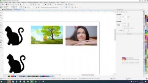 Урок 10. Из растра в вектор в Corel Draw 2020. Курс "От нуля до профессионала"