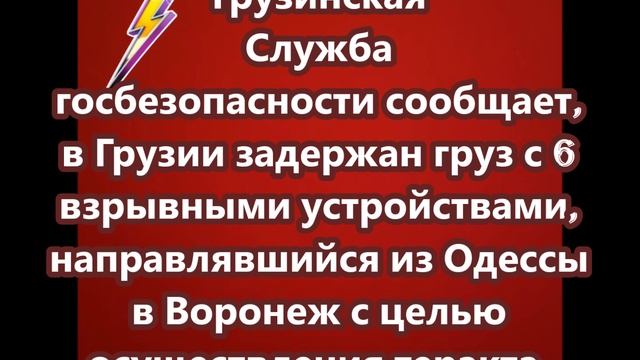 В Грузии задержан груз с 6 взрывными устройствами, направлявшийся в Воронеж