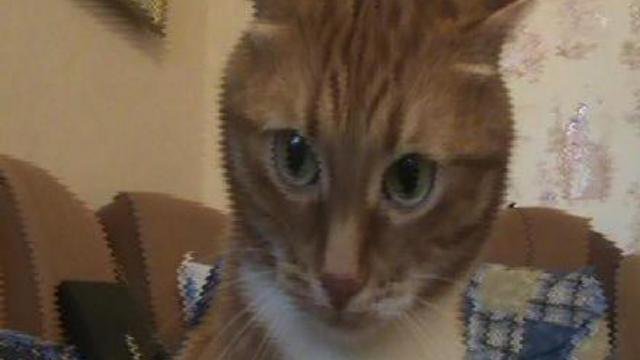 Убери камеру мрррррррр