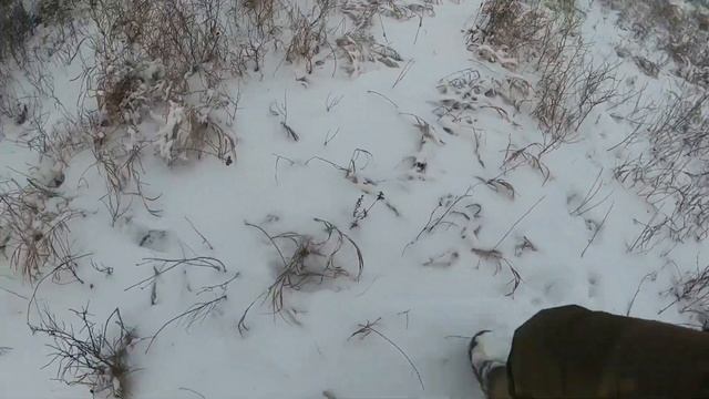 Один день охоты на кабана. смотреть онлайн