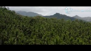 Как На Самом Деле Выглядит РАЙ