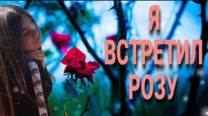 Я Встретил Розу / Песни Старых Дворов #дворовыепесни